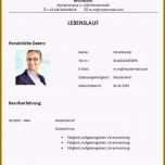 Atemberaubend 10 Chronologischer Lebenslauf Muster