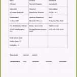 Atemberaubend 12 Steckbrief Erstellen