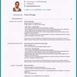 Atemberaubend 13 Europass Lebenslauf Muster Deutsch