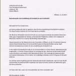 Atemberaubend 15 Bewerbungsschreiben Dm