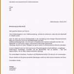 Atemberaubend 15 Tabellarischer Lebenslauf Akademiker Muster