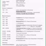 Atemberaubend 15 Tabellarischer Lebenslauf Uni Vorlage