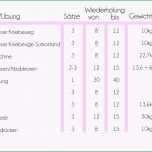 Atemberaubend 15 Trainingsplan Pferd Vorlage