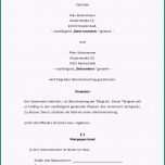 Atemberaubend 15 Vorlage Leihvertrag