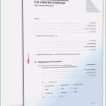 Atemberaubend 16 Brief Wohnungsbewerbung