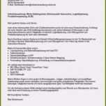 Atemberaubend 17 Initiativbewerbung Anschreiben Vorlage