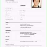 Atemberaubend 17 Schüler Lebenslauf Für Praktikum