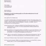 Atemberaubend 18 Bewerbungsschreiben Als Koch