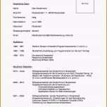 Atemberaubend 18 Lebenslauf Muster Schüler 2015