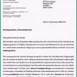 Atemberaubend 19 Beispiel Stellungnahme