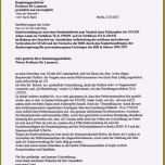 Atemberaubend 20 Handgeschriebener Lebenslauf Vorlage