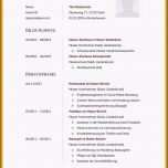 Atemberaubend 20 Lebenslauf Latex Vorlage