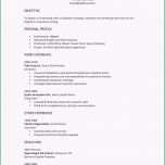 Atemberaubend 20 Openoffice Vorlage Lebenslauf