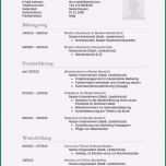 Atemberaubend 20 Tabellarischer Lebenslauf Muster 2014