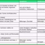 Atemberaubend 40 Fresh Ernährungstagebuch Vorlage