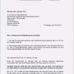 Atemberaubend 43 Fabelhaft Dm Bewerbung Vorlage Vorräte