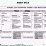 Atemberaubend 56 Beste Btm Dokumentation Vorlage Bilder