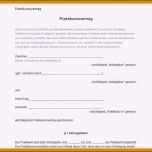 Atemberaubend 8 Kündigung Praktikum Muster