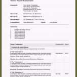 Atemberaubend Besprechungsprotokoll Vorlage Word Inspiration 10