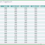 Atemberaubend Brillenpanda Sehweiten Tagebuch – Excel Vorlage