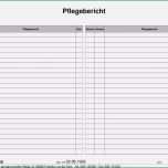 Atemberaubend Btm Dokumentation Vorlage Großartig Vorlagen – Meinpfleg