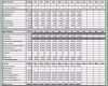 Atemberaubend Bwa Analyse Excel Vorlagen Shop
