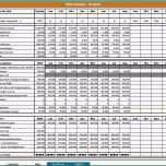Atemberaubend Bwa Analyse Excel Vorlagen Shop