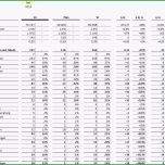 Atemberaubend Bwa E Merce Excel Vorlage Excel Vorlagen Shop