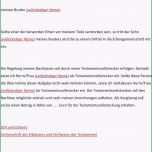 Atemberaubend Die Fabelhaften Berliner Testament Vorlage Kostenlos Pdf