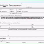 Atemberaubend Durchfhrung Interner Audits Internes Audit Muster