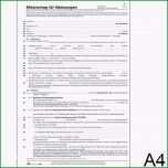 Atemberaubend Einfacher Mietvertrag Kostenlos Ausdrucken Unique Fisch