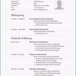 Atemberaubend [einfacher Tabellarischer Lebenslauf] 100 Images 15