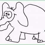 Atemberaubend Elefant