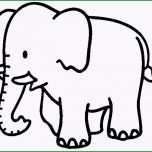 Atemberaubend Elefanten Ausmalbilder 26