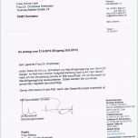 Atemberaubend Fsj Anschreiben Vorlage – Karimdarwish