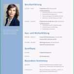 Atemberaubend Gut Professioneller Lebenslauf Tabellarisch Tabellarischer