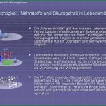 Atemberaubend Haccp Hygieneschulung Haccp Schulung Auf Cd Rom Vorlage