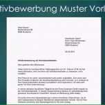 Atemberaubend Initiativbewerbung Muster Vorlage Schweiz