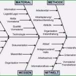 Atemberaubend ishikawa Diagramm Vorlage Schön ishikawa Diagramm Archive
