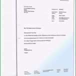 Atemberaubend Kündigung Kfz Versicherung Vorlage Basic 22 Das Neueste