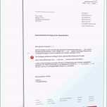 Atemberaubend Kundigung Strom Umzug Vorlage Absender Adressat