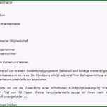Atemberaubend Kündigung Versicherung Vorlage Download Chip