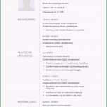 Atemberaubend Lebenslauf Muster Für Multimediakünstler