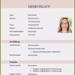 Atemberaubend Lebenslauf Schülerpraktikum Vorlage Angenehm 17 Schüler