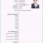 Atemberaubend Lebenslauf Vorlage Klassisch &amp; Modern