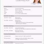 Atemberaubend Lebenslauf Vorlage Latex