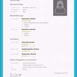 Atemberaubend Lebenslauf Vorlage Praktikum Kostenloser Download