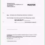 Atemberaubend Luxus 30 Designtelekom Mobilfunk Kündigung Vorlage