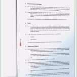 Atemberaubend Mängelrüge Vorlage Fabelhaft Agb Für Eine Beratungsfirma