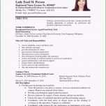 Atemberaubend Masnahmenplan Vorlage Pflege Bankkonto Kündigen Vorlage